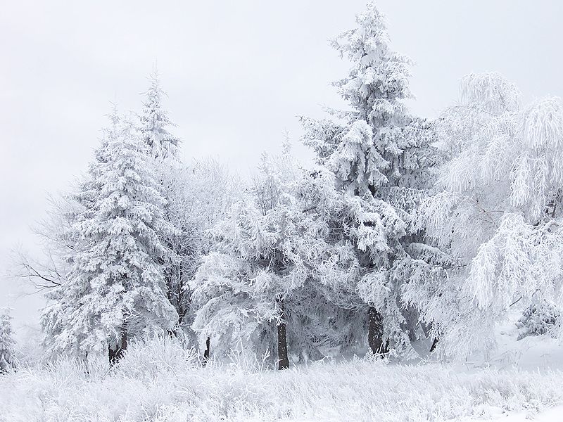 scena innevata