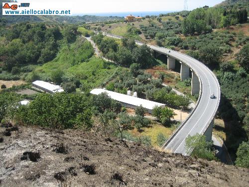 Località foresta